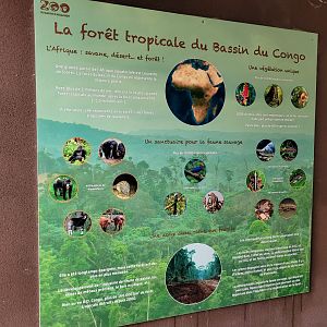 Congo bassin sign -Zoo du bassin d'Arcachon (2024)
