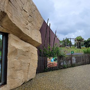 View outside the aviary -Zoo du bassin d'Arcachon (2024)