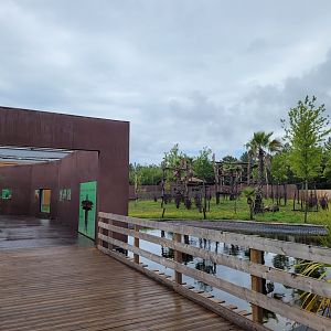 Western lowland gorilla and Kikuyu guereza exhibit -Zoo du bassin d'Arcachon (2024)