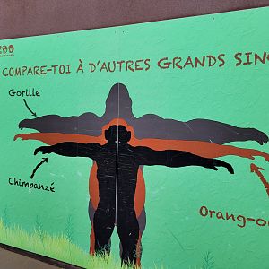 Big ape measuring sign -Zoo du bassin d'Arcachon (2024)