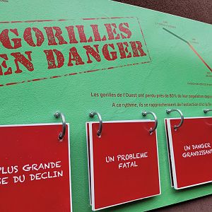 Interactive educative display -Zoo du bassin d'Arcachon (2024)