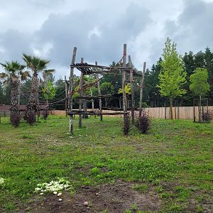 Western lowland gorilla and Kikuyu guereza exhibit -Zoo du bassin d'Arcachon (2024)