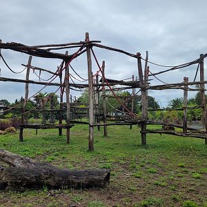 Western lowland gorilla, Black crested mangabey and Red-tailed moustached monkey exhibit -Zoo du bassin d'Arcachon (2024)