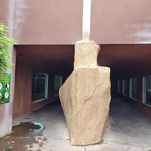 Entrance to gorilla house -Zoo du bassin d'Arcachon (2024)