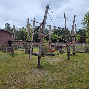 Western sitatunga exhibit -Zoo du bassin d'Arcachon (2024)