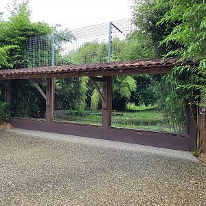 Jaguar viewing area -Zoo du bassin d'Arcachon (2024)