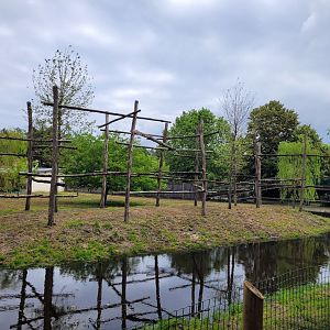 Malayan tapir and Bar-headed goose exhibit -Zoo du bassin d'Arcachon (2024)