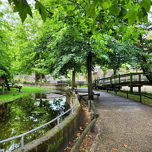 Broadwalk view from the red pandas -Zoo du bassin d'Arcachon (2024)