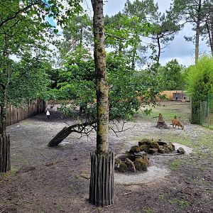 Common hog deer and Red-crowned crane exhibit -Zoo du bassin d'Arcachon (2024)