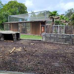 Indian crested porcupine exhibit -Zoo du bassin d'Arcachon (2024)