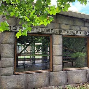 Hanuman's langur exhibit -Zoo du bassin d'Arcachon (2024)