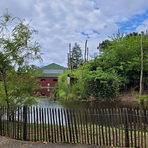 Main lake view -Zoo du bassin d'Arcachon (2024)
