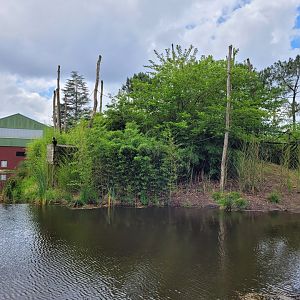 Lion-tailed macaque and Dalmatian pelican exhibit -Zoo du bassin d'Arcachon (2024)