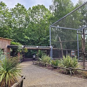 Javan lutung and hyena area -Zoo du bassin d'Arcachon (2024)