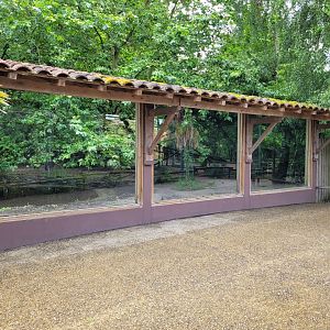 Spotted hyena viewing area -Zoo du bassin d'Arcachon (2024)