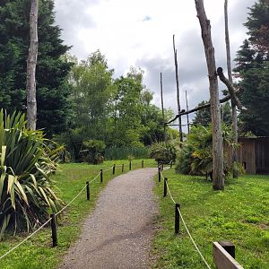 Ring-tailed lemur and White-belted ruffed lemur exhibit -Zoo du bassin d'Arcachon (2024)