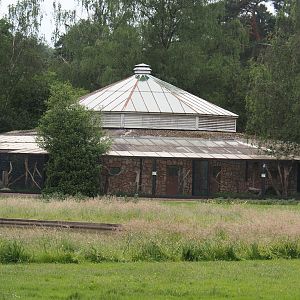 Parrot house, 2024-05-21