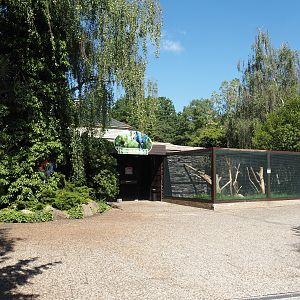 Parrot house - Entrance and outdoor aviaries, 2024-05-23