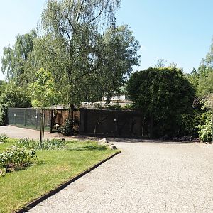 Parrot house, 2024-05-23