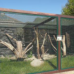 Blue-throated macaw aviary, 2024-05-23