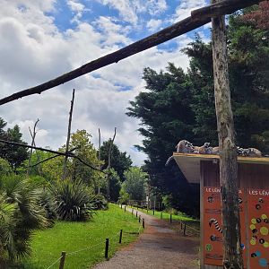 Ring-tailed lemur and White-belted ruffed lemur exhibit -Zoo du bassin d'Arcachon (2024)
