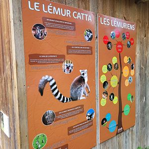 Lemur signs -Zoo du bassin d'Arcachon (2024)