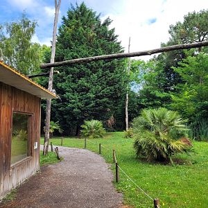 Ring-tailed lemur and White-belted ruffed lemur exhibit -Zoo du bassin d'Arcachon (2024)