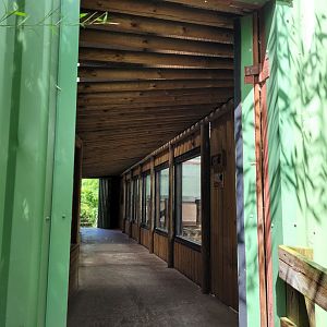 Entrance to orangutan house -Zoo du bassin d'Arcachon (2024)