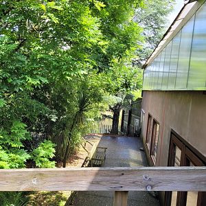 View outside the orangutan house -Zoo du bassin d'Arcachon (2024)