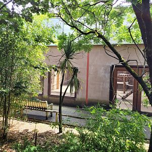 Bornean orangutan house view -Zoo du bassin d'Arcachon (2024)