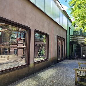 Bornean orangutan house lower view -Zoo du bassin d'Arcachon (2024)