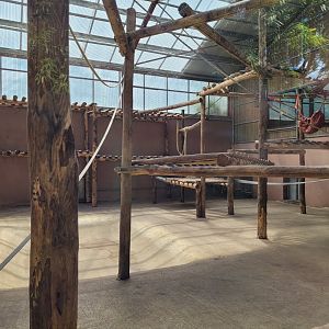 Bornean orangutan house lower view -Zoo du bassin d'Arcachon (2024)