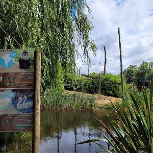 Lion-tailed macaque and Dalmatian pelican exhibit -Zoo du bassin d'Arcachon (2024)