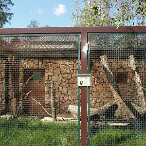 Blue-headed macaw aviary, 2024-05-23