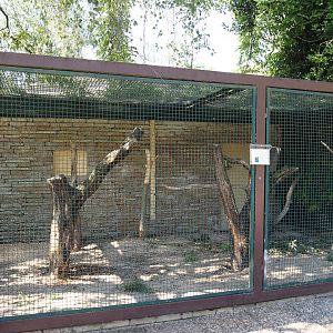 Hyacinth macaw aviary 2024-05-23