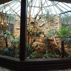 Parrot house - Palm and Bromeliad garden with waterfalls, 2024-05-22