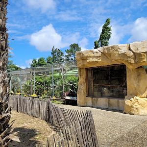 Linnaeus’ two-toed sloth, Lowland paca and White-faced saki exhibit -Zoo du bassin d'Arcachon (2024)