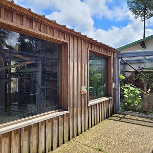 Common marmoset exhibit, tamarin and capuchin house -Zoo du bassin d'Arcachon (2024)