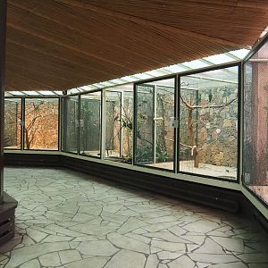 View in the parrot house, 2024-05-22