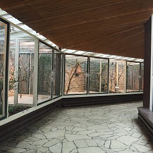 View in the parrot house, 2024-05-22