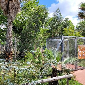 Entrance to wallaby and aviary walkthroughs -Zoo du bassin d'Arcachon (2024)
