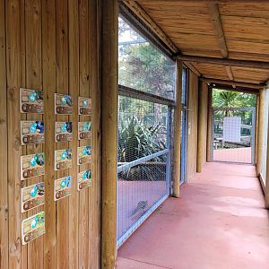 Entrance to Australian aviary -Zoo du bassin d'Arcachon (2024)