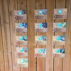 Australian aviary signs -Zoo du bassin d'Arcachon (2024)