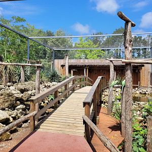 Australian aviary -Zoo du bassin d'Arcachon (2024)