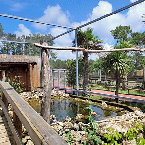 Australian aviary -Zoo du bassin d'Arcachon (2024)