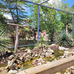Australian aviary -Zoo du bassin d'Arcachon (2024)