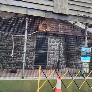 Barn owl aviary