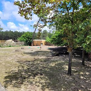 Red kangaroo, Bennett's wallaby and Common emu exhibit -Zoo du bassin d'Arcachon (2024)