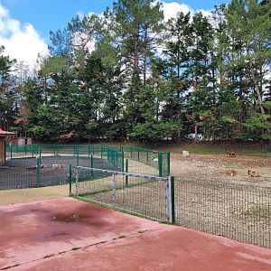 View of the domestic species area -Zoo du bassin d'Arcachon (2024)