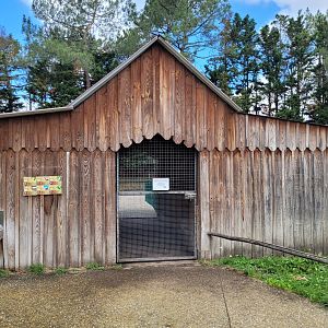 Barn -Zoo du bassin d'Arcachon (2024)